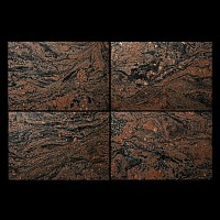 Morton Gneiss Plate Sections