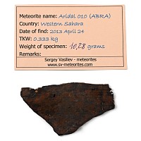 Aridal 010 (ABRA) Primative Achondrite Brachinite Meteorite Slice