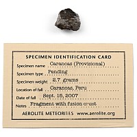 Carancas H4-5 Chondrite Meteorite with Fusion Crust