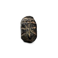 Western Asiatic Bronze Seal Matrix