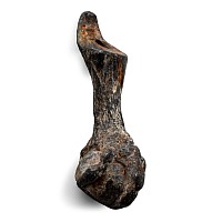 Stuart Period Lead Eagle Talon-and-Ball Merchant's Seal Pendant