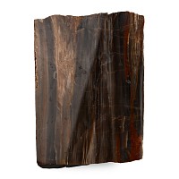 Large Cut and polished Petrified Fossil Tree Trunk Specimen