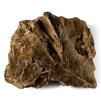Large Mica Crystal Formation Display