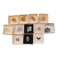 Boxed and Labelled Mineral Specimen Collection