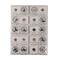 North American and Other Fossil Collection