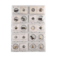 North American and Other Fossil Collection