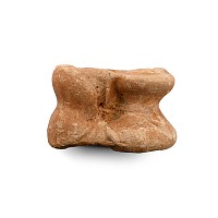 Fossil 'Woolly Mammoth' Knuckle Bone