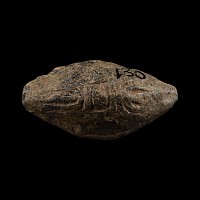 Romano-British 'Verulanium' Lead Slingshot