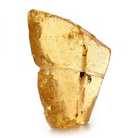 Beetle in Polished Copal