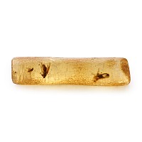 Flies in Polished Baltic Amber