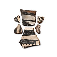 Native North American Black and White Bowl Fragment Group