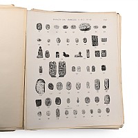 Scarabs and Cylinders - W.M. Flinders Petrie