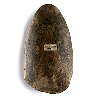 Large Polished Green Stone Axe
