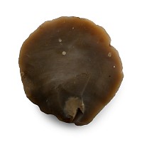 Stone Age Discoid Flint Knife