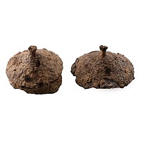Anglo-Saxon Iron Shield Boss Pair