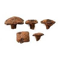 Anglo-Saxon Iron Nail Collection
