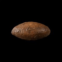 Greek Macedonian Lead Inscribed Slingshot