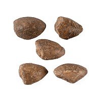 Greek Macedonian Lead Inscribed Impacted Slingshot Group