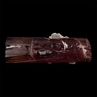 Tourmaline Crystal Mineral Display Specimen