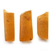 Insect Inclusions in Polished Amber