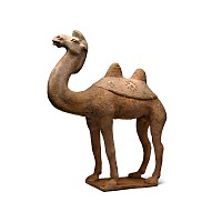 Chinese Tang Terracotta Camel