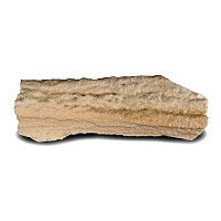 Large Cave Stalagmite Section