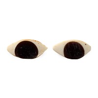 Egyptian Glass Eye Inlay Pair