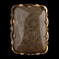 Victorian Silver-Gilt Brooch with Fossilised Plaque