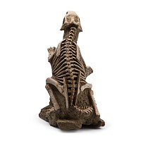 Psittacosaurus Fossil Dinosaur Skeleton