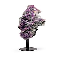 Amethyst and Quartz Crystal Geode Section