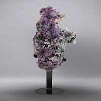 Amethyst and Quartz Crystal Geode Section