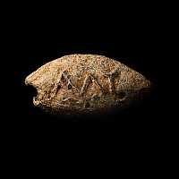 Greek Lead Slingshot of Alexander the Great