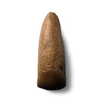 Stone Age Tenerian Pecked and Part Polished Celt Axe