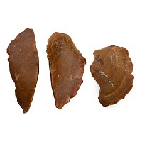 Acheulian Knapped Scraper/Knife Group.