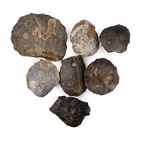 Stone Age Knapped Flint Scraper and Other Tool Collection