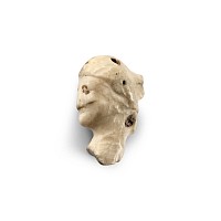 Roman Stone Head