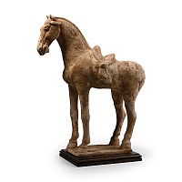 Chinese Tang Standing Saddled Horse