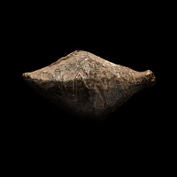 Roman Lead Cnaeus Pompey Battle of Munda Slingshot