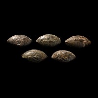 Roman Lead Slingshot Group