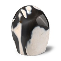 Polished 'Orca' Agate Paperweight