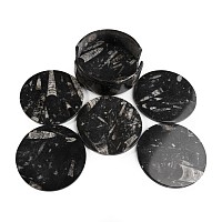 Polished Fossil Orthoceras Coaster Holder with Coasters