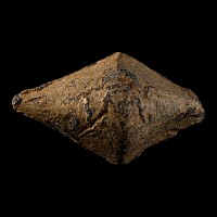Roman Lead Cnaeus Pompey Battle of Munda Slingshot