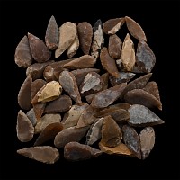 Stone Age Leaf-Shaped Arrowhead Collection