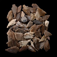 Stone Age Barbed and Tanged Arrowhead Collection