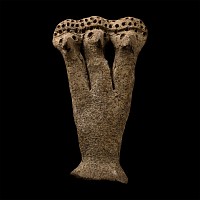 Syro-Hittite Terracotta Fertility Figure Group