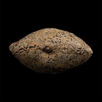 Greek Macedonian Lead Slingshot
