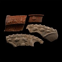 Roman Decorated Terracotta Fragment Collection