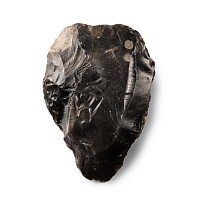 'British Museum Recorded' Stone Age Homo Heidelbergensis Flint Handaxe from Happisburgh