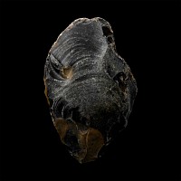 Stone Age Homo Heidelbergensis Uniface Flint Handaxe from Happisburgh