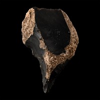 British Stone Age Flint Awl from Farnham